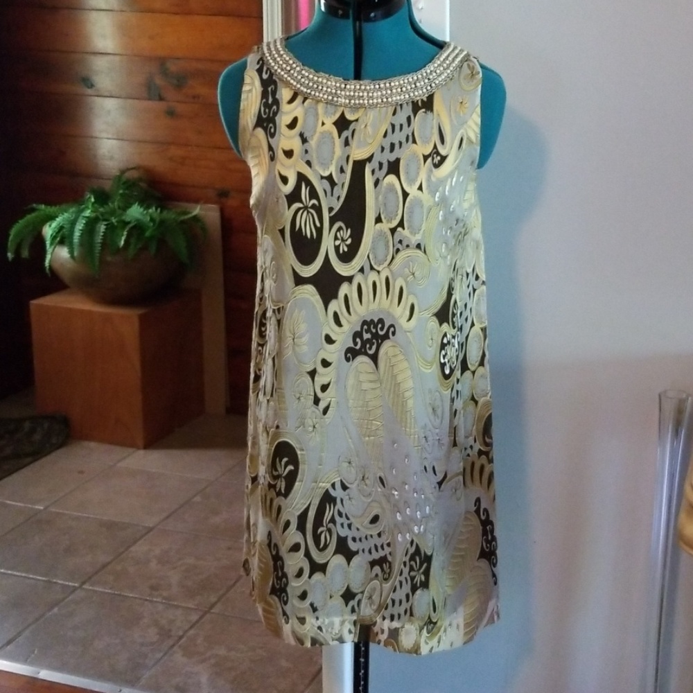 Silk  Dress